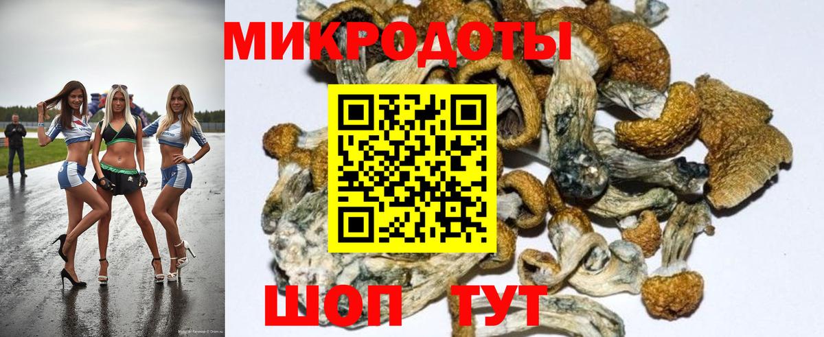 Кингисепп  Псилоцибиновые грибы мухоморы  Вход с VPN 